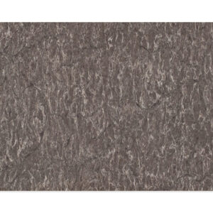 Quartz Coastal Grey 2cm Jumbo Slab (126×63)